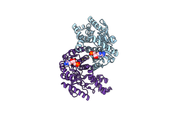 2XXB image