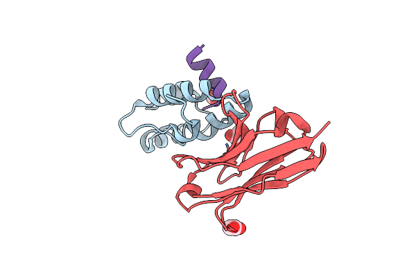 2XXM image