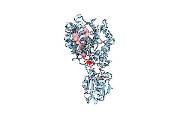 2XXP image
