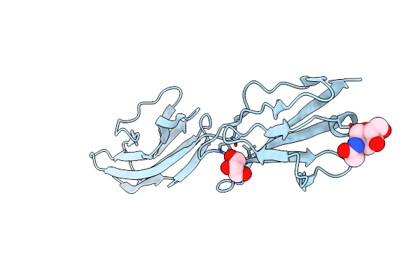 2XY2 image