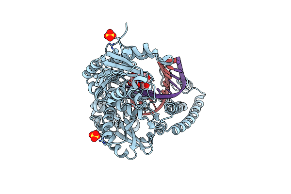 2XY7 image