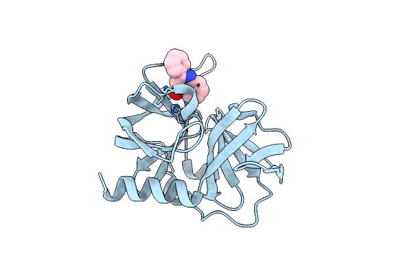 2XYA image