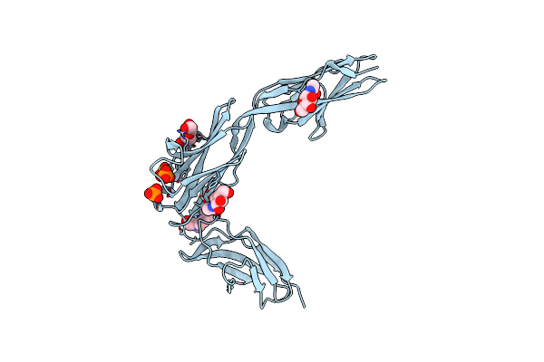 2XYC image