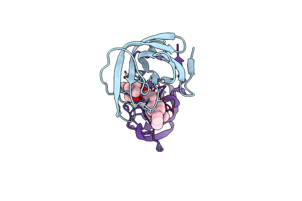 2XYE image