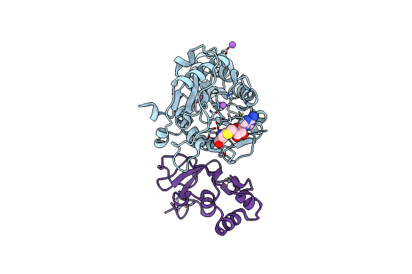 2XYV image