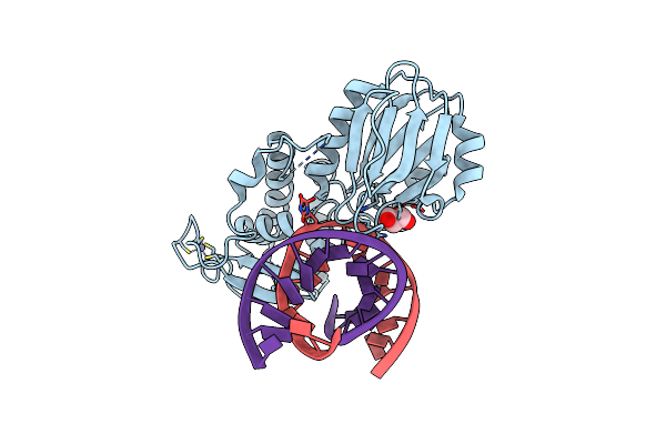 2XZF image