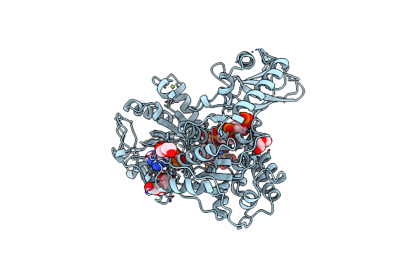 2XZO image