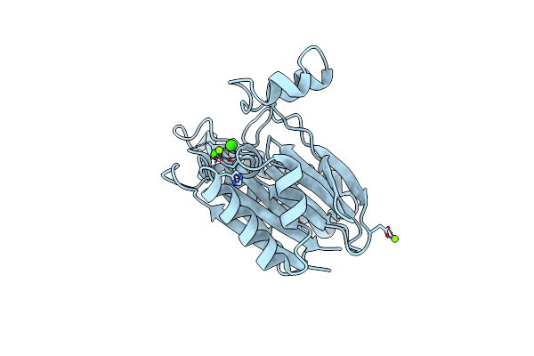 2XZV image