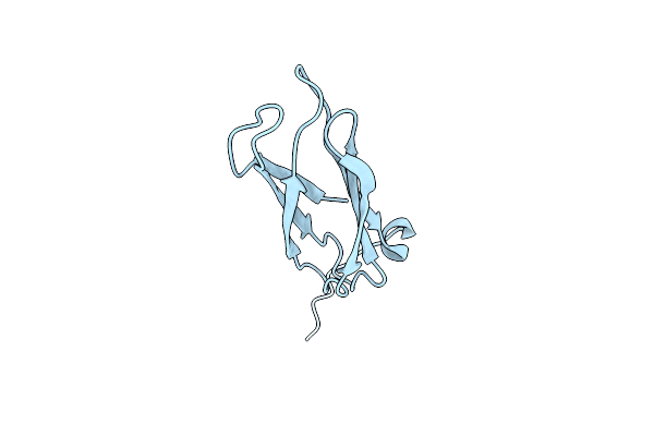 2XZZ image