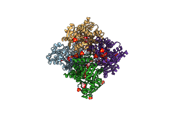 2Y0C image