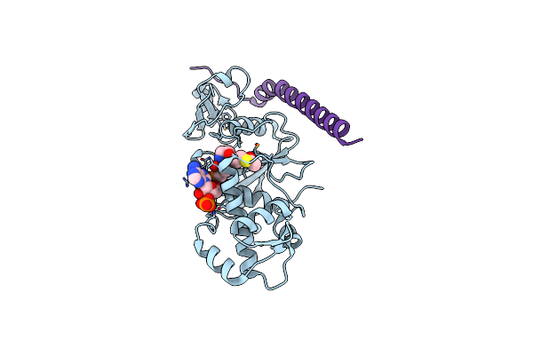 2Y0M image