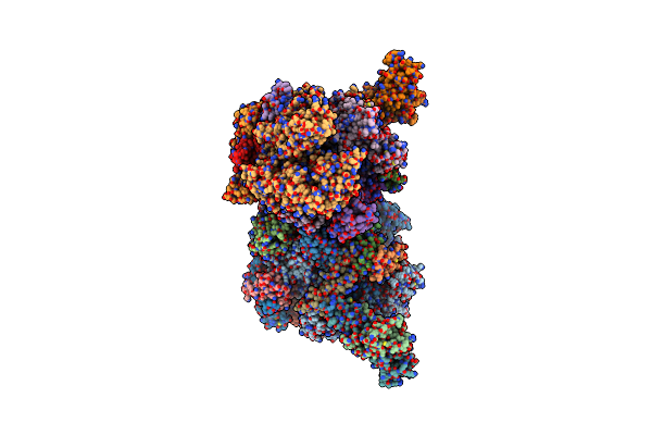 2Y0S image