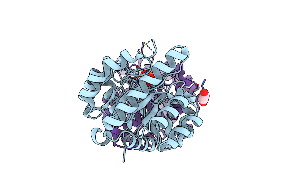 2Y1H image