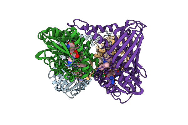 2Y1W image