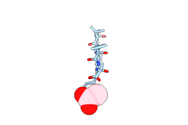 2Y2A image