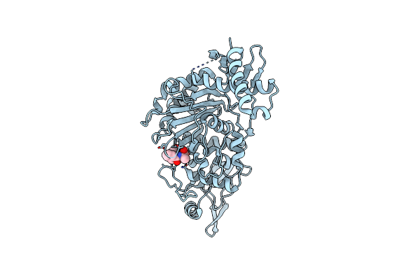 2Y2N image