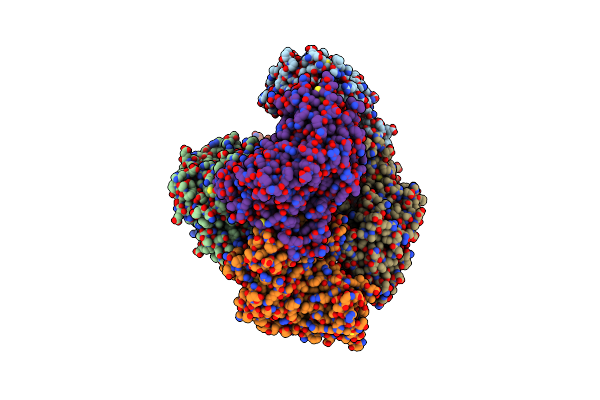 2Y2W image