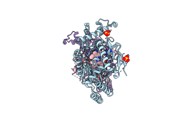 2Y37 image