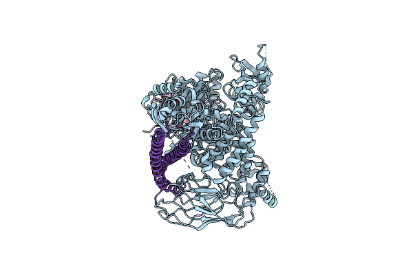2Y3A image