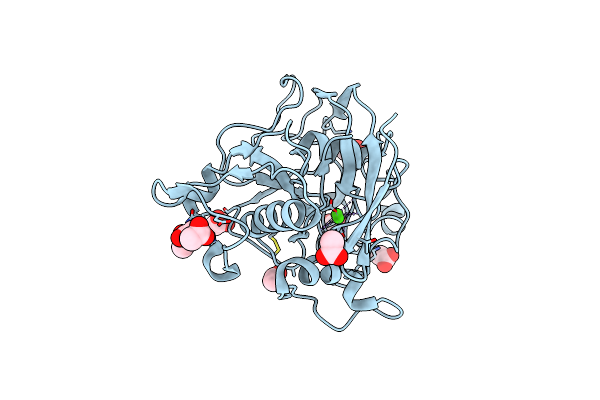 2Y3C image