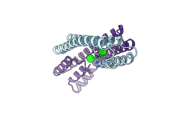 2Y3D image