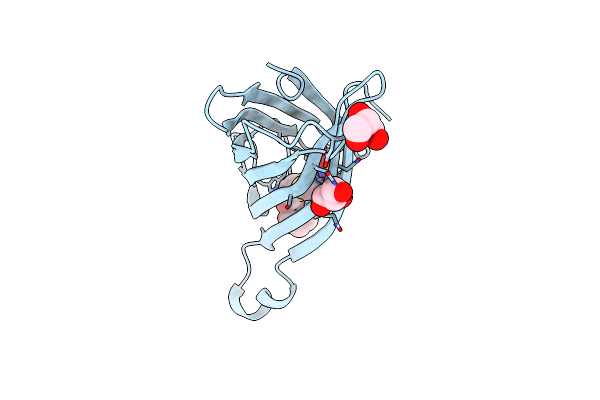 2Y3F image