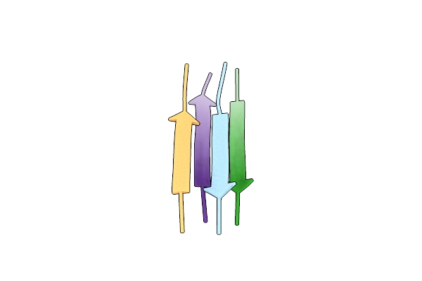 2Y3L image