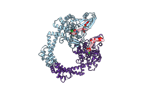 2Y3P image