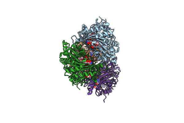 2Y3R image