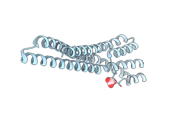 2Y44 image