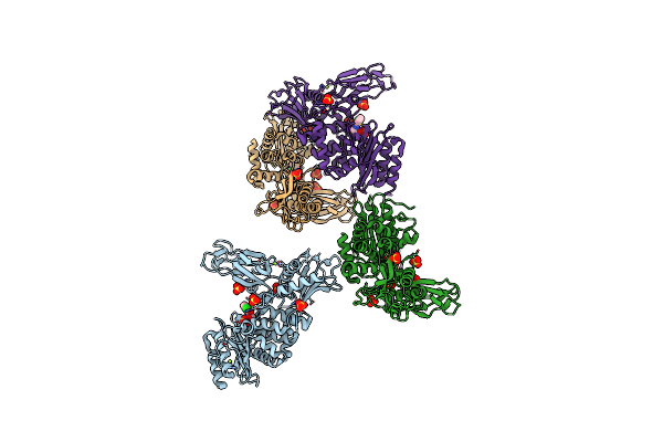 2Y4A image