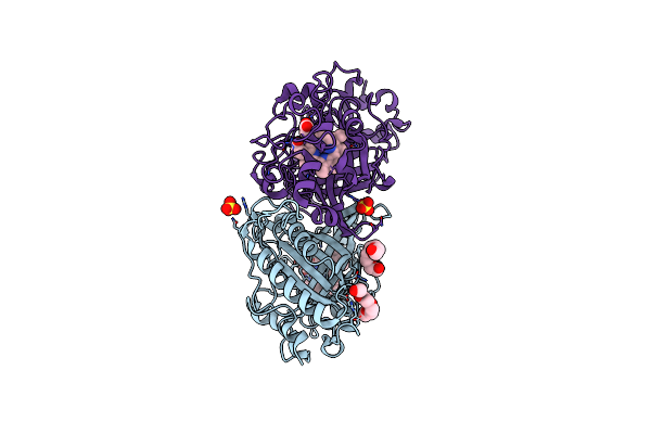 2Y4E image