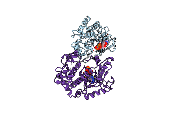 2Y4I image