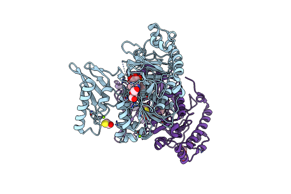 2Y4N image