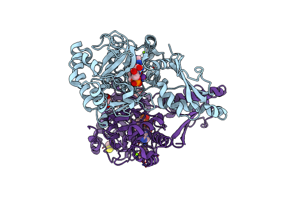 2Y4O image