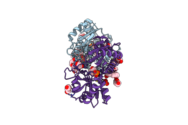 2Y4R image