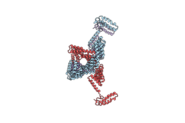 2Y4T image