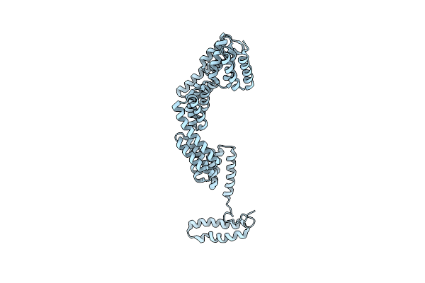 2Y4U image