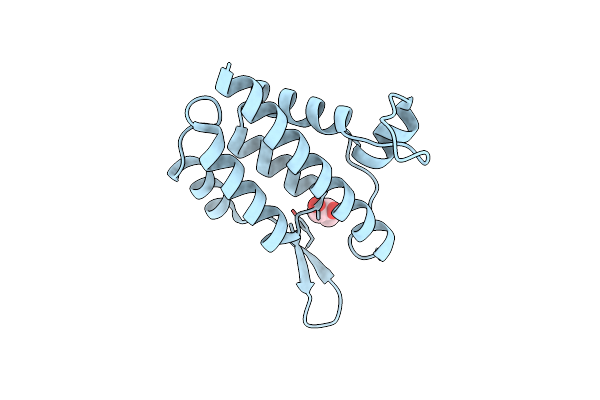 2Y4Z image