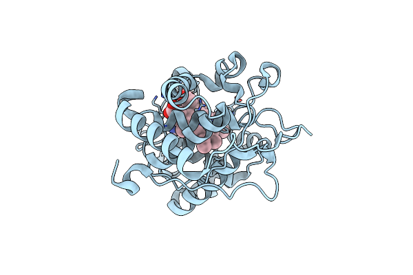 2Y5A image