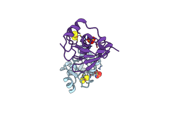 2Y5C image