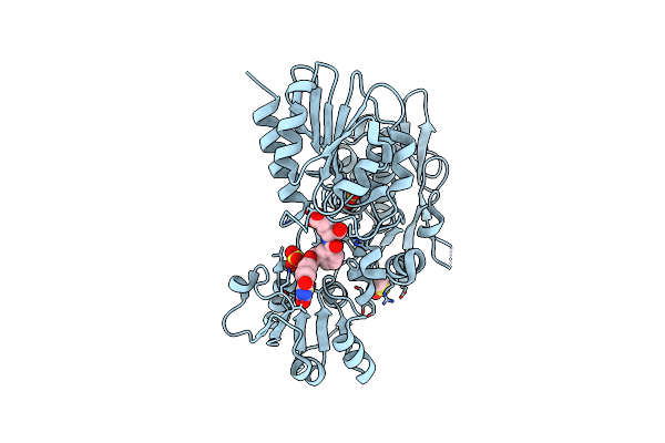 2Y66 image