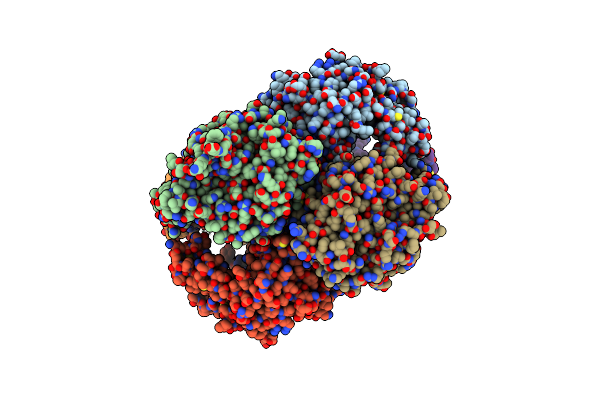2Y6E image