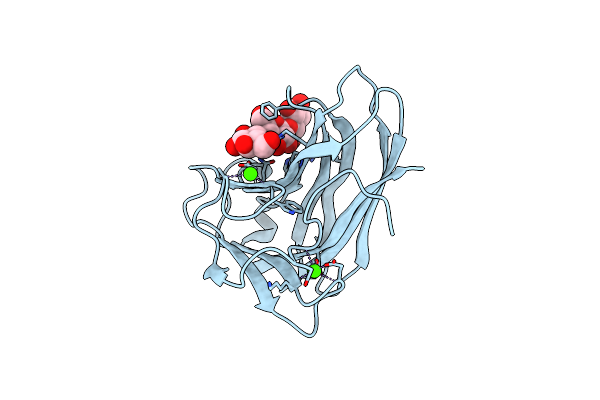 2Y6G image