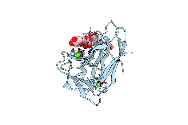 2Y6L image