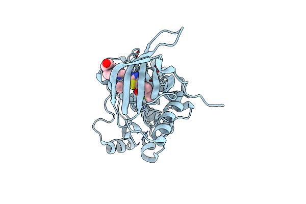 2Y6O image
