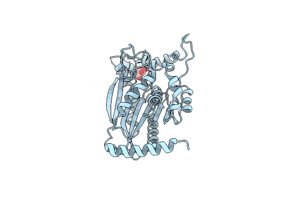 2Y6U image