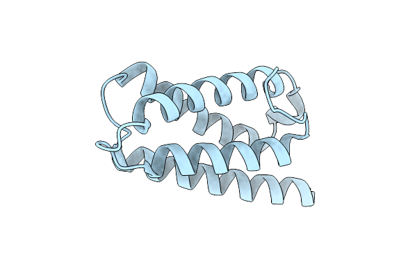 2Y6X image