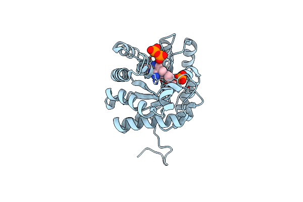 2Y6Z image