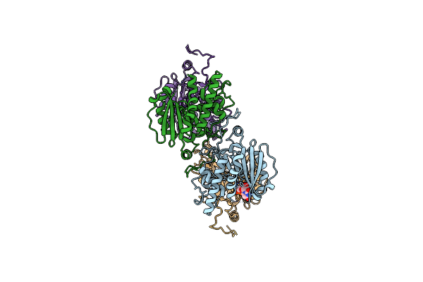 2Y7A image